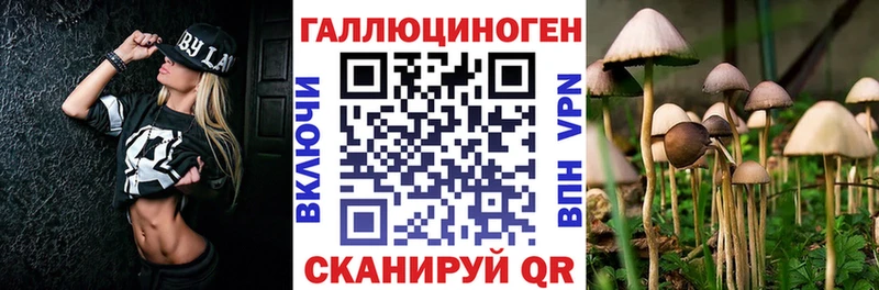 Псилоцибиновые грибы Psilocybe  Моршанск 