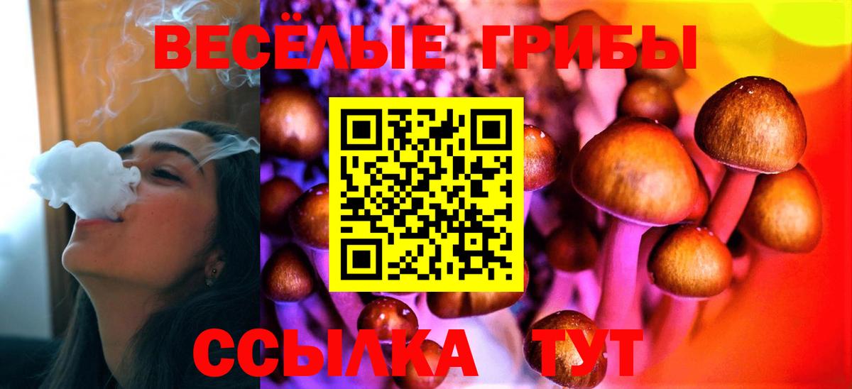 Галлюциногенные грибы мухоморы  Вход с VPN  Галлюциногенные грибы MAGIC MUSHROOMS  Моршанск 
