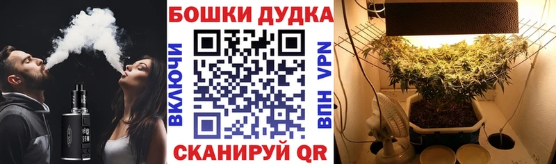 Бошки Шишки VHQ  купить  сайты  Моршанск 